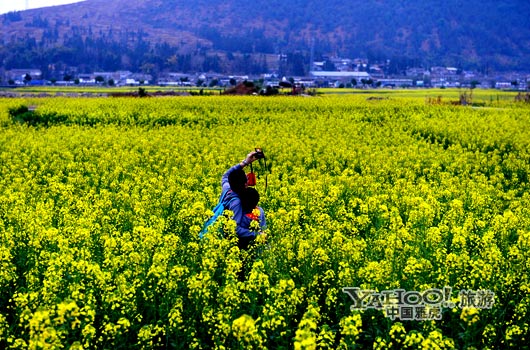 　　不論從人文氣息還是田園自然風(fēng)光,都值得我們?？?。(圖片來源:CFP)