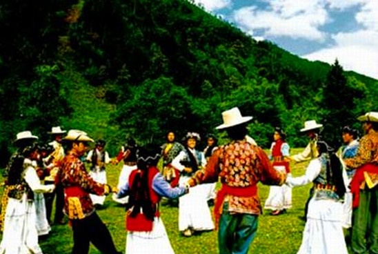 昆明無處不飛花 昆明 跑馬節(jié)