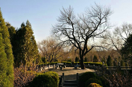 禪武兼修 身心同安—少林寺 禪武兼修 身心同安—少林寺