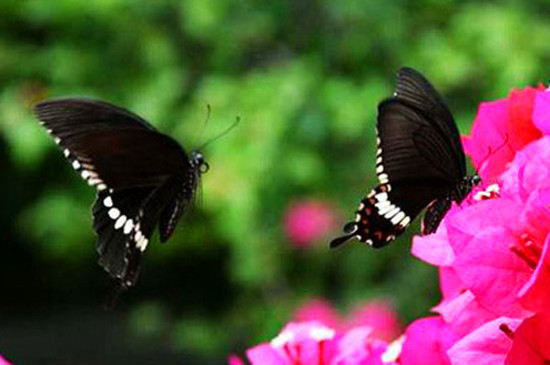 炎炎夏日 避暑哪里去 炎炎夏日 避暑哪里去