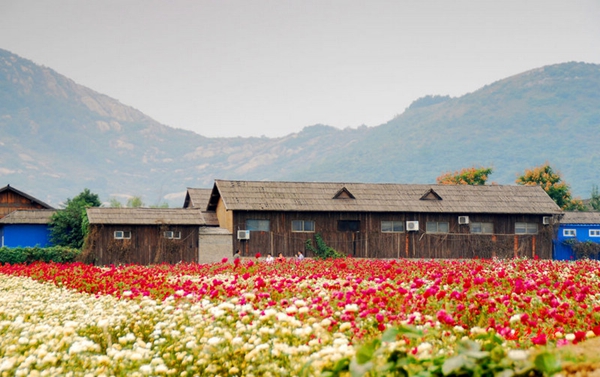 別樣蜜月，河南最適宜新婚度假的景區(qū)