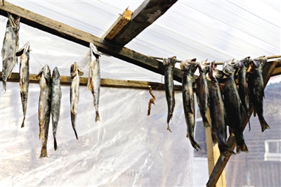 長白山腳下一家小餐館內(nèi)晾曬的冷水魚。