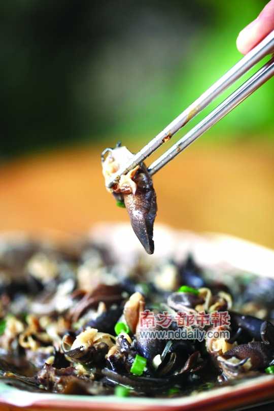 蒜蓉粉絲蒸蝸牛。