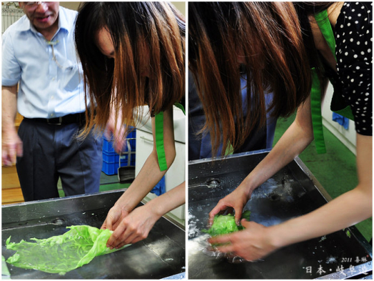 只能看不能吃的誘人美食 只能看不能吃的誘人美食