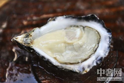北半球好蠔不止法國(guó) 美加鮮味更足