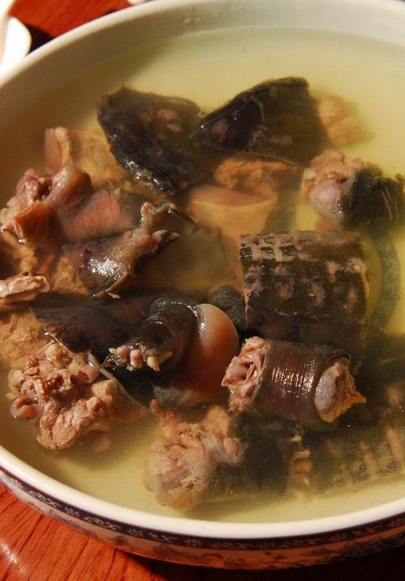 鮮美甲魚(yú)湯為迎接冬天補(bǔ)出好身體 鮮美甲魚(yú)湯為迎接冬天補(bǔ)出好身體