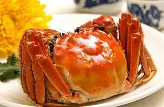 秋季最適合吃的海鮮是這10種 你吃對了嗎？