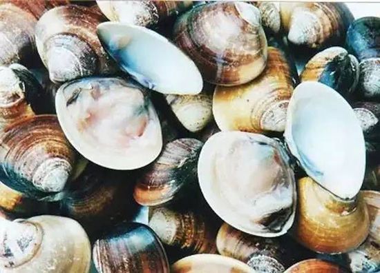 秋季最適合吃的海鮮是這10種 你吃對了嗎？