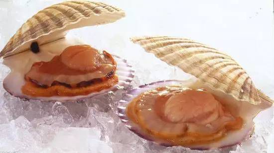 秋季最適合吃的海鮮是這10種 你吃對了嗎？