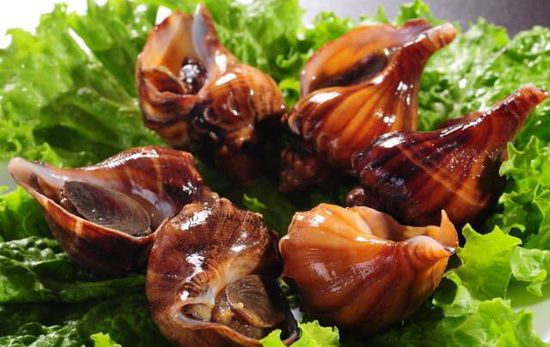 秋季最適合吃的海鮮是這10種 你吃對了嗎？