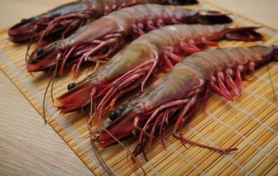 秋季最適合吃的海鮮是這10種 你吃對了嗎？