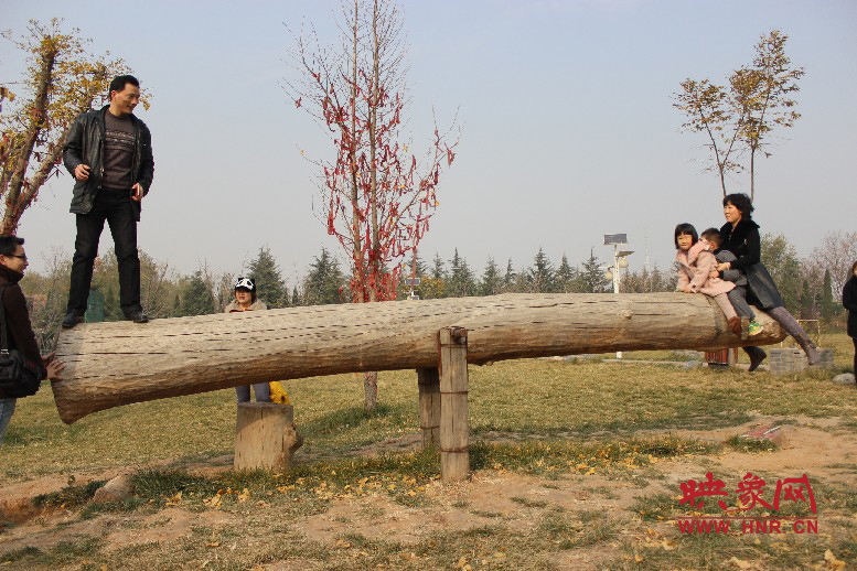 巨大的蹺蹺板，一棵樹。。?？赐娴亩噜? oldsrc=