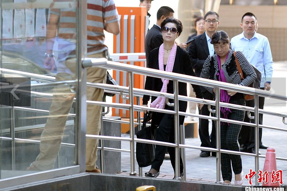 夢(mèng)鴿現(xiàn)身海淀法院。中新網(wǎng)記者 金碩 攝