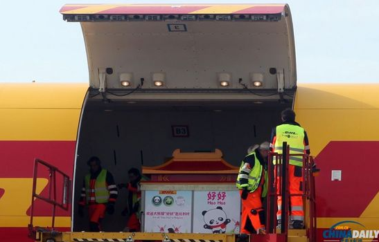 大熊貓“好好”抵達(dá)布魯薩爾國際機(jī)場(chǎng)。記者 付敬 攝