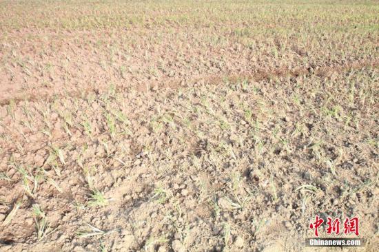 2014年7月31日早晨，浙江紹興市區(qū)蔬菜批發(fā)市場旁邊的土地已經(jīng)發(fā)生開裂。