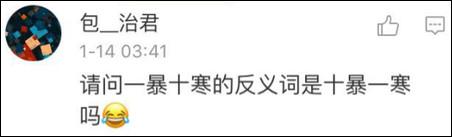 鶴立雞群？雞立鶴群！