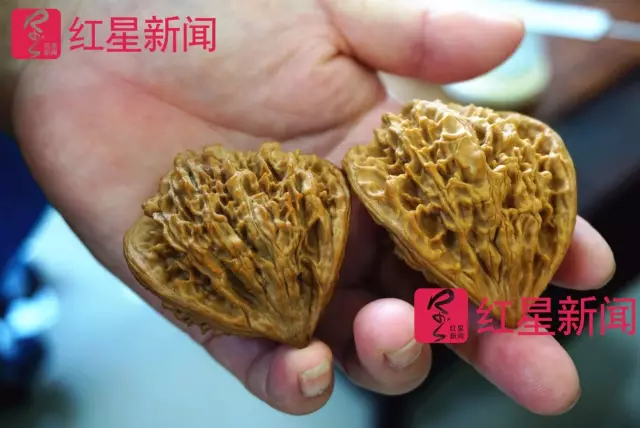 文玩核桃遇冷由幾萬一對降到5元沒人要？商戶否認