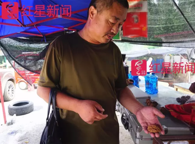 文玩核桃遇冷由幾萬一對降到5元沒人要？商戶否認