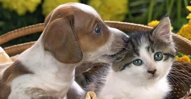 可憐！12歲女孩右眼完全失明 只因平時有這愛好