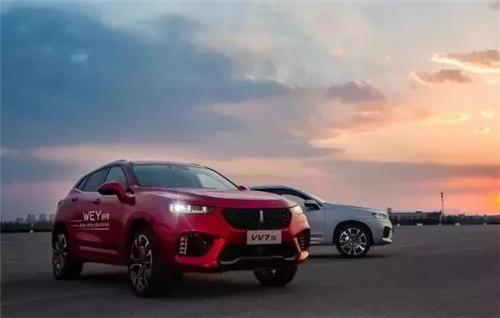 去年“蹦”出來的新汽車品牌們，現(xiàn)在活得怎么樣了？