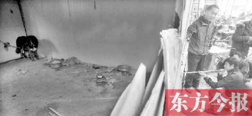 12月4日，鄭州市未來路與隴海路交叉口西側，執(zhí)法人員用吹管麻醉針對付一只藏獒