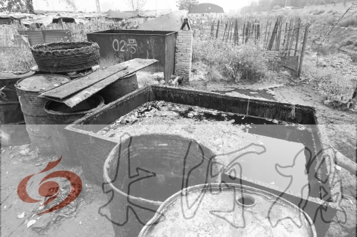 　　骯臟、令人作嘔的油桶凌亂地擺放在院子里，為了避免視覺刺激，我們把它做成了黑白圖片。