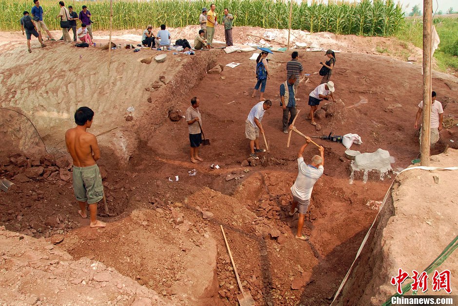 恐龍化石發(fā)掘現(xiàn)場(chǎng)。