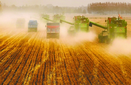 田里，一臺臺收割機唱著豐收歌。