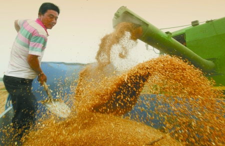 心情喜悅麥龍舞。