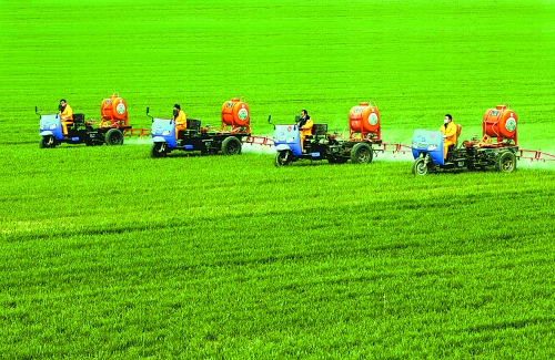 車載噴霧機奔駛在萬畝高產田里。