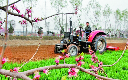 　　3月25日，武陟縣龍源辦事處東馬曲村村民正在田里耕作。時下正值春耕時節(jié)，武陟農民紛紛抓住有利時機