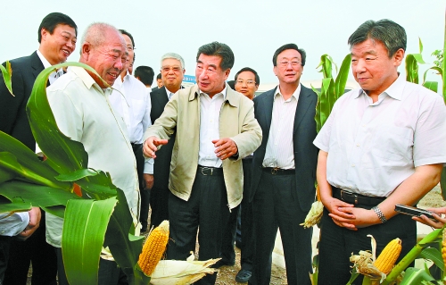 圖為回良玉在鄧州市腰店鄉(xiāng)草寺村視察萬畝玉米高產示范方。