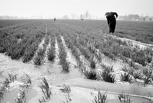3月25日，濮陽縣郎中鄉(xiāng)大趙寨村農(nóng)民在為小麥澆水。連日來，濮陽縣廣大農(nóng)民不誤農(nóng)時，及時為麥田施肥、澆