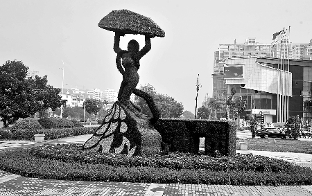 8月28日，南陽街頭繁花似錦，市民宛若行走在花海之中。