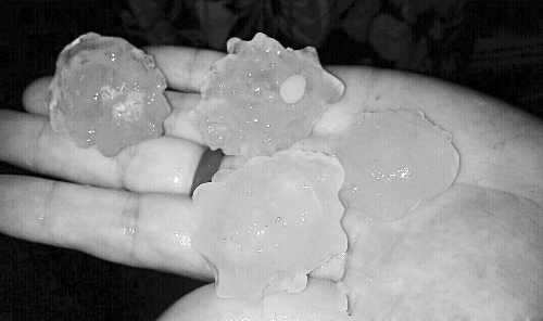 昨天凌晨，三門(mén)峽下起了冰雹，最大直徑近1厘米 微博截圖