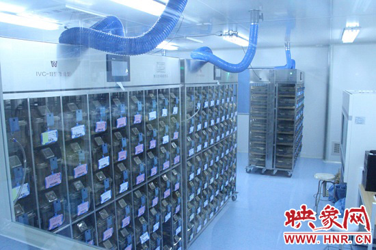 “鼠村”里每一個籠子是一家?！按濉崩镒≈?萬只左右的小鼠