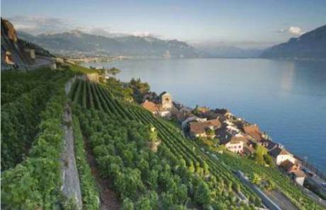 盤點(diǎn)幸福感最高的國(guó)家地區(qū)