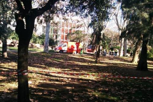 西班牙男子跳進(jìn)動物園獅子山