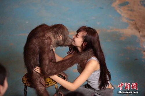 學(xué)生參加?；ㄐ２荽筚?穿比基尼秀身材