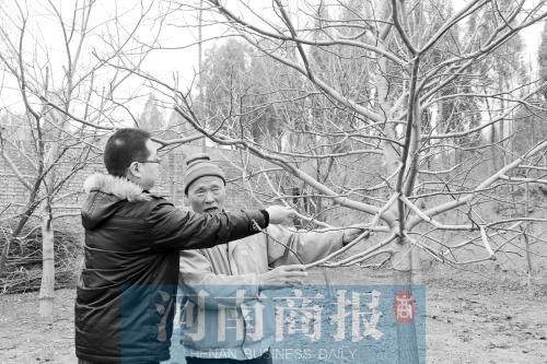 老人領(lǐng)著來(lái)訪者來(lái)看他親手種的樹,他雖然眼睛看不見(jiàn),但能用手摸到樹的成長(zhǎng) 記者 唐韜/攝