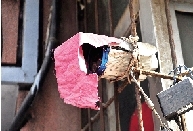 小偷半夜用布蓋住攝像頭 新買的電動(dòng)車丟了 小偷半夜用布蓋住攝像頭 新買的電動(dòng)車丟了