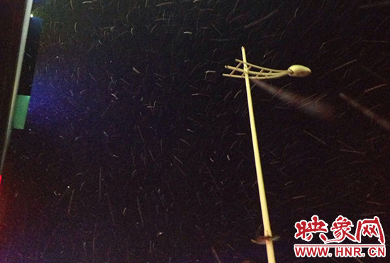 登封初雪如約而至 登封初雪如約而至