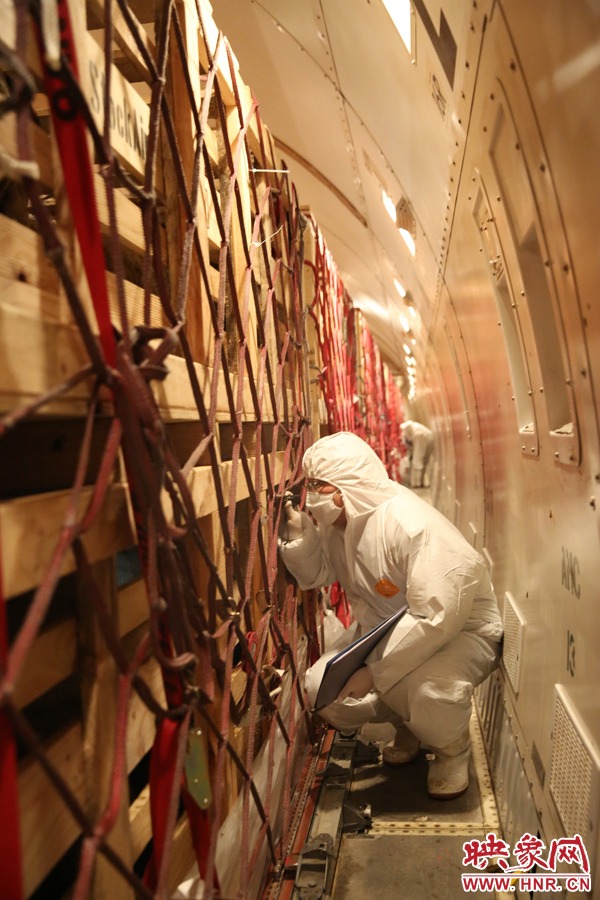 千只澳大利亞種羊“打飛的”落戶(hù)河南 創(chuàng)國(guó)內(nèi)多個(gè)第一