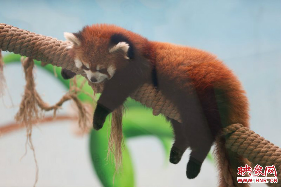 “休息，休息一下?！? width=