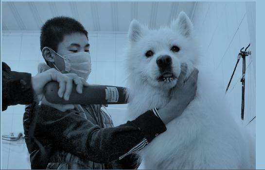 家庭式寄養(yǎng)打出“散養(yǎng)”牌 家庭式寄養(yǎng)打出“散養(yǎng)”牌