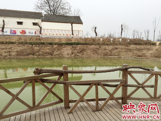 護(hù)欄損毀的地方，已經(jīng)被兩根樹干擋住。