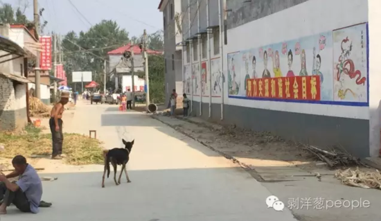 孫莊村一角。新京報記者安鐘汝 攝