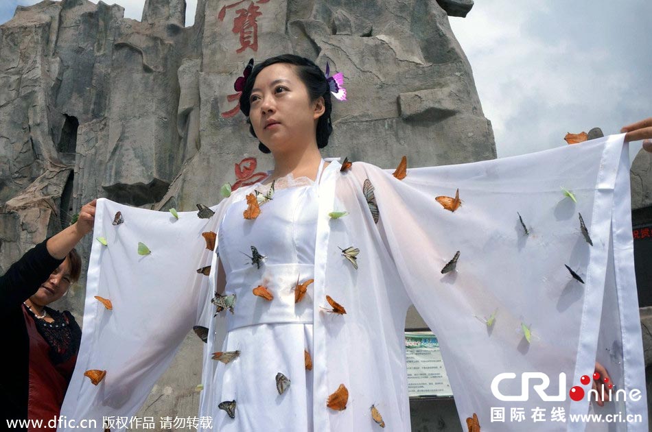 “蝴蝶仙子”身穿上百只剛剛扎死的蝴蝶。圖片來源：老祝/東方IC