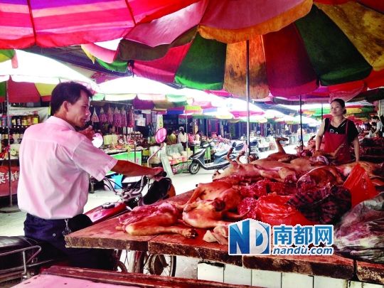  昨日，玉林垌口市場(chǎng)，一位市民在購(gòu)買狗肉。