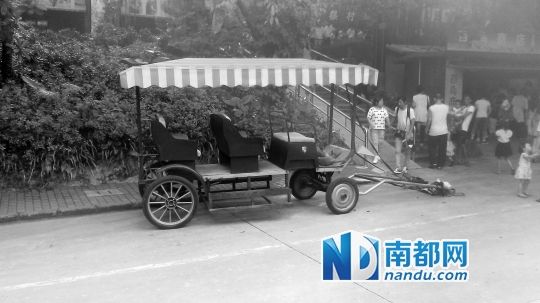 園方則稱解剖后發(fā)現(xiàn)馬死于心臟衰竭，“與累無關”。